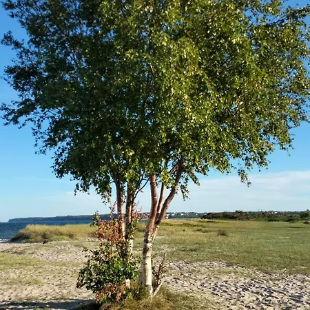 Lägenhet Turkusowe Laki 4c-1 Mosty (Puck)