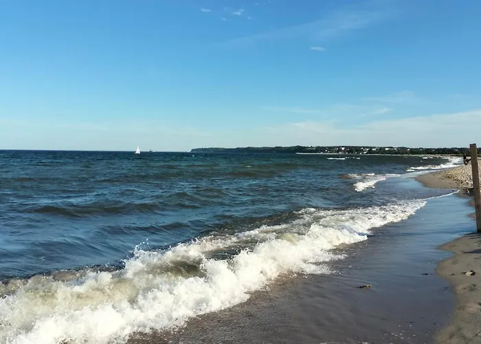 Turkusowe łąki 4c-1