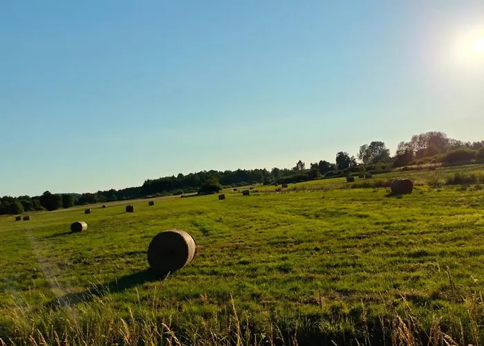 Turkusowe łąki 4c-1 Mosty (Puck)